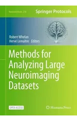 Methods for Analyzing Large Neuroimaging Datasets