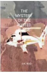 The Mystery of the Rusted Plane