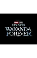 Marvel Studios' Black Panther