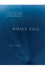 Whale Fall