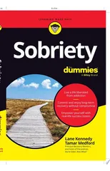 Sobriety For Dummies