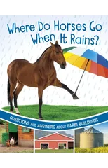 Where Do Horses Go When It Rains?