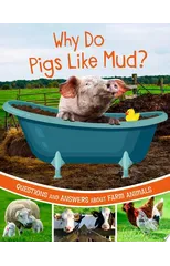 Why Do Pigs Like Mud?