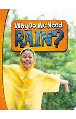 Why Do We Need Rain?
