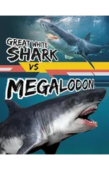 Great White Shark vs Megalodon