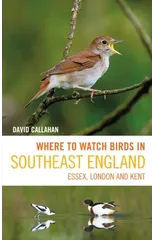 Where to Watch Birds in Southeast England