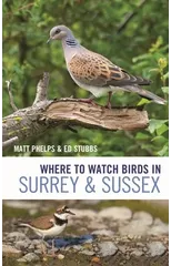 Where to Watch Birds in Surrey and Sussex