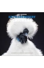 Extraordinary Chickens 2025 Wall Calendar