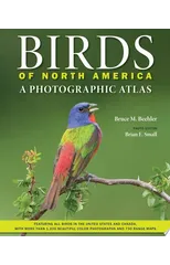 Birds of North America