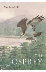 The Osprey