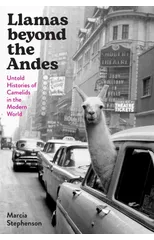 Llamas beyond the Andes