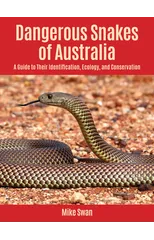 Dangerous Snakes of Australia
