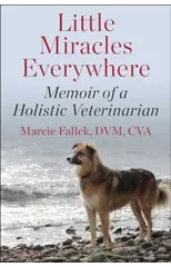 Little Miracles Everywhere