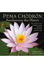 Pema Chodron 2025 Wall Calendar