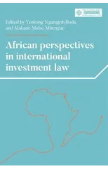 African Perspectives in International Investment Law