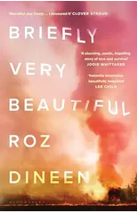 Briefly Very Beautiful