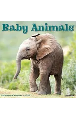 Baby Animals 2025 12 X 12 Wall Calendar