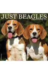Just Beagles 2025 12 X 12 Wall Calendar