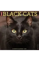 Just Black Cats 2025 12 X 12 Wall Calendar