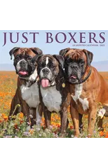 Just Boxers 2025 12 X 12 Wall Calendar