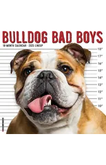 Bulldog Bad Boys 2025 12 X 12 Wall Calendar