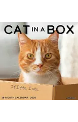 Cat in a Box 2025 12 X 12 Wall Calendar