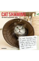 Cat Shaming 2025 12 X 12 Wall Calendar
