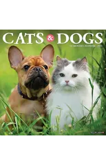 Cats & Dogs 2025 12 X 12 Wall Calendar