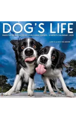 Dog's Life 2025 12 X 12 Wall Calendar