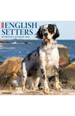 Just English Setters 2025 12 X 12 Wall Calendar