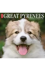 Just Great Pyrenees 2025 12 X 12 Wall Calendar
