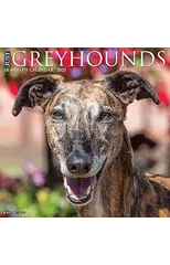 Just Greyhounds 2025 12 X 12 Wall Calendar
