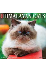 Just Himalayan Cats 2025 12 X 12 Wall Calendar