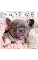 Naptime (Dogs & Puppies) 2025 12 X 12 Wall Calendar