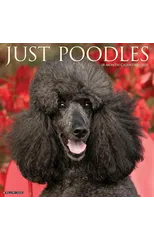 Just Poodles 2025 12 X 12 Wall Calendar