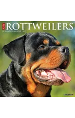 Just Rottweilers 2025 12 X 12 Wall Calendar