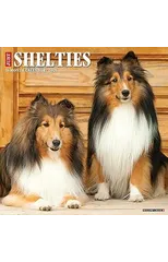 Just Shelties 2025 12 X 12 Wall Calendar