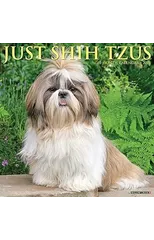 Just Shih Tzus 2025 12 X 12 Wall Calendar