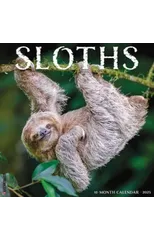 Sloths 2025 12 X 12 Wall Calendar