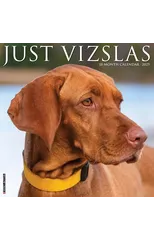Just Vizslas 2025 12 X 12 Wall Calendar