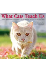 What Cats Teach Us 2025 12 X 12 Wall Calendar
