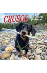 Crusoe the Celebrity Dachshund 2025 7 X 7 Mini Wall Calendar