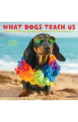 What Dogs Teach Us 2025 7 X 7 Mini Wall Calendar