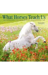 What Horses Teach Us 2025 7 X 7 Mini Wall Calendar