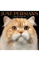 Just Persians 2025 12 X 12 Wall Calendar