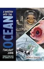 A Window into the Ocean Twilight Zone