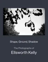 Shape, Ground, Shadow