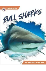 Bull Sharks
