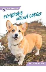 Pembroke Welsh Corgis