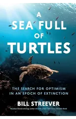 A Sea Full of Turtles